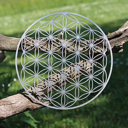 Blume des Lebens, Edelstahl , Ø 44cm
