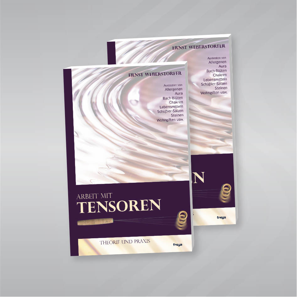 Buch: Arbeit mit Tensoren von Ernst Weberstorfer